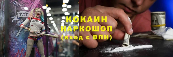 прущие грибы Верея