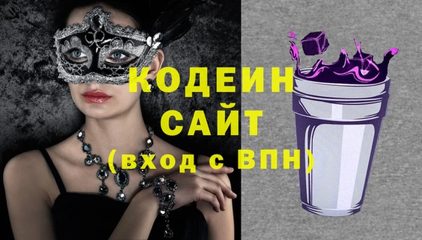 прущая мука Вяземский